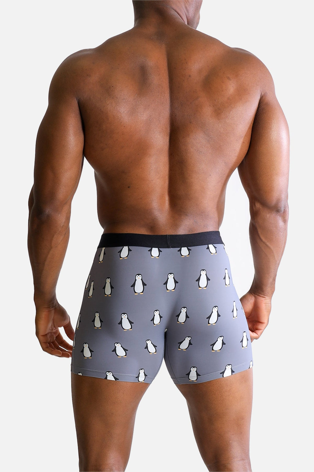 Men's Boxer Briefs - Penguins