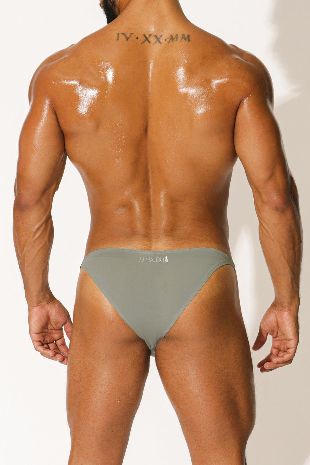 Renaissance Low-Cut Swim Bikini Briefs for Men - Space Silver